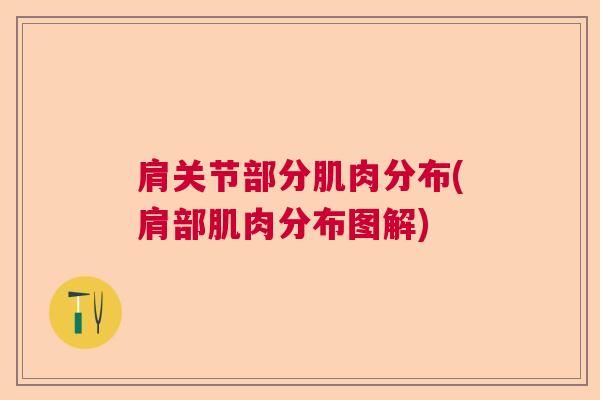 肩关节部分肌肉分布(肩部肌肉分布图解)