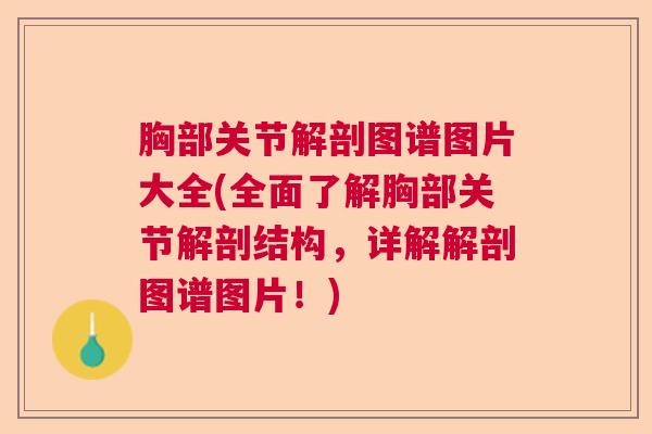 胸部关节解剖图谱图片大全(全面了解胸部关节解剖结构，详解解剖图谱图片！)