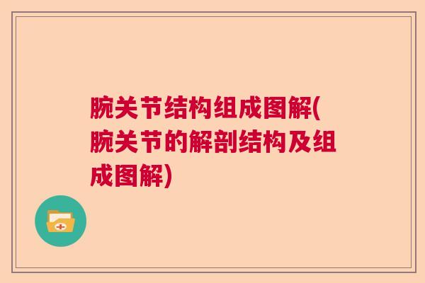 腕关节结构组成图解(腕关节的解剖结构及组成图解)