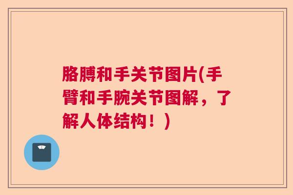 胳膊和手关节图片(手臂和手腕关节图解，了解人体结构！)