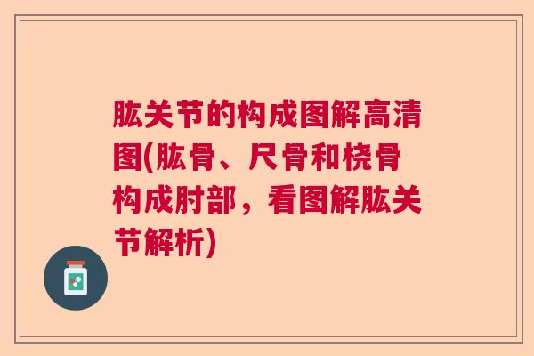 肱关节的构成图解高清图(肱骨、尺骨和桡骨构成肘部，看图解肱关节解析)