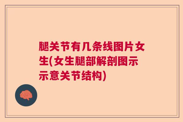 腿关节有几条线图片女生(女生腿部解剖图示示意关节结构)