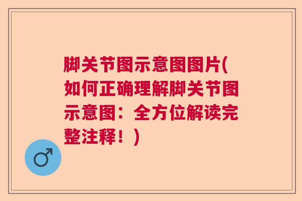 脚关节图示意图图片(如何正确理解脚关节图示意图:全方位解读完整注释!) 脚关节图示意图图片(如何正确理解脚关节图示意图:全方位解读完整注释!)