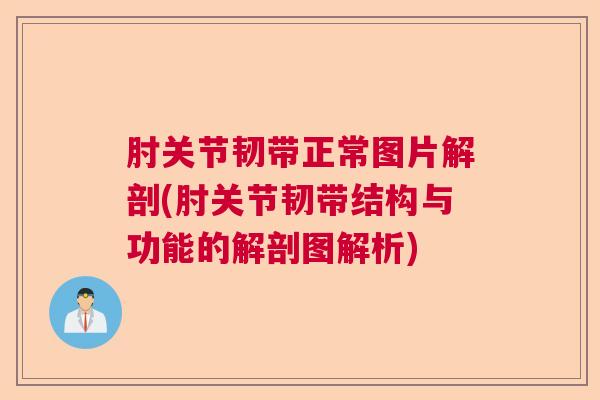 肘关节韧带正常图片解剖(肘关节韧带结构与功能的解剖图解析)
