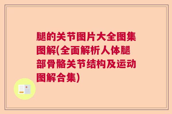 腿的关节图片大全图集图解(全面解析人体腿部骨骼关节结构及运动图解合集)