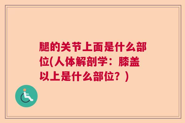 腿的关节上面是什么部位(人体解剖学:膝盖以上是什么部位?) 腿的关节上面是什么部位(人体解剖学:膝盖以上是什么部位?)