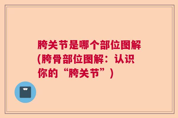 胯关节是哪个部位图解(胯骨部位图解:认识你的“胯关节”) 胯关节是哪个部位图解(胯骨部位图解:认识你的“胯关节”)