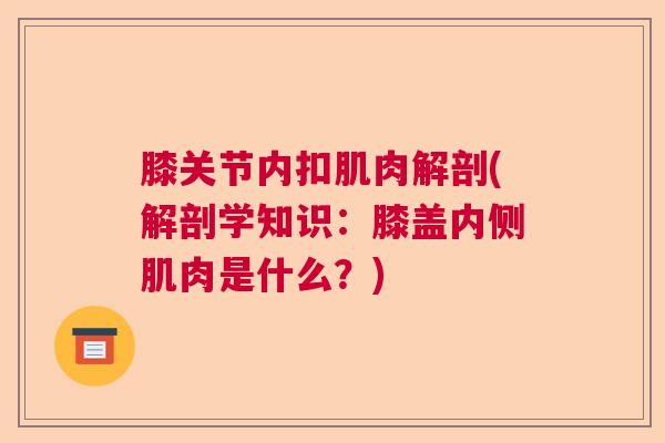 膝关节内扣肌肉解剖(解剖学知识：膝盖内侧肌肉是什么？)