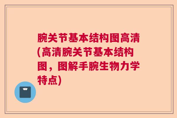 腕关节基本结构图高清(高清腕关节基本结构图，图解手腕生物力学特点)