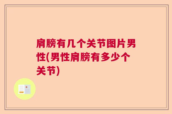 肩膀有几个关节图片男性(男性肩膀有多少个关节)