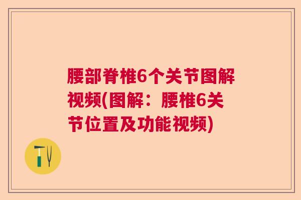 腰部脊椎6个关节图解视频(图解：腰椎6关节位置及功能视频)
