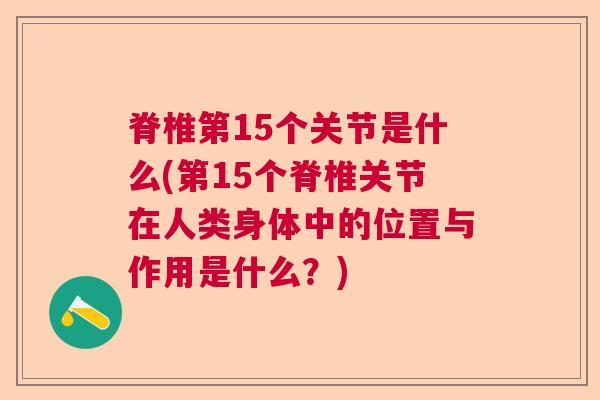 脊椎第15个关节是什么(第15个脊椎关节在人类身体中的位置与作用是什么？)