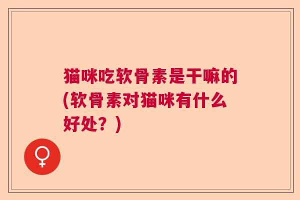 猫咪吃软骨素是干嘛的(软骨素对猫咪有什么好处？)