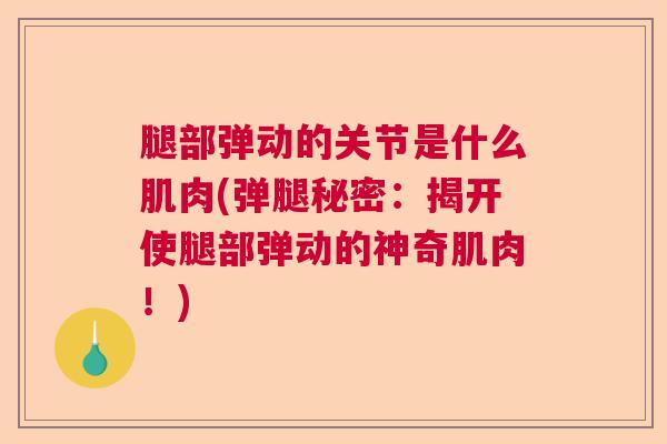 腿部弹动的关节是什么肌肉(弹腿秘密：揭开使腿部弹动的神奇肌肉！)
