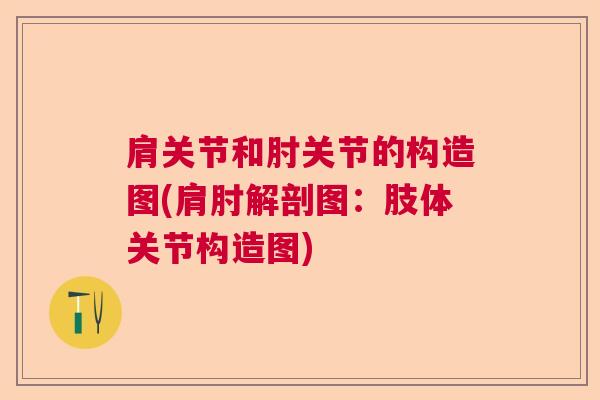 肩关节和肘关节的构造图(肩肘解剖图：肢体关节构造图)