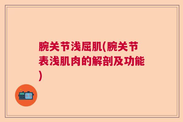 腕关节浅屈肌(腕关节表浅肌肉的解剖及功能) 腕关节浅屈肌(腕关节表浅肌肉的解剖及功能)