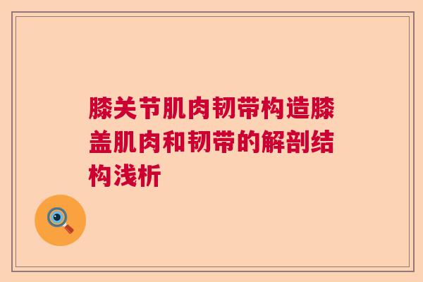 膝关节肌肉韧带构造膝盖肌肉和韧带的解剖结构浅析 膝关节肌肉韧带构造膝盖肌肉和韧带的解剖结构浅析