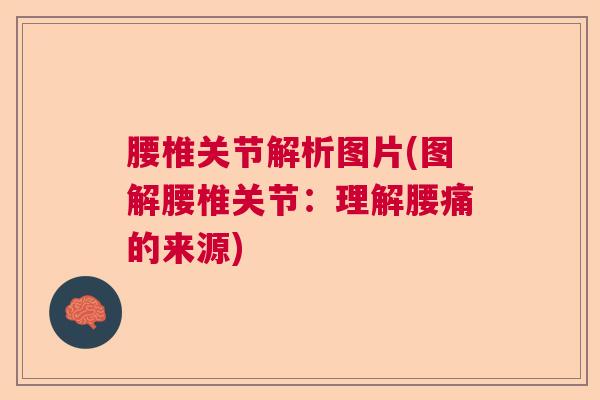腰椎关节解析图片(图解腰椎关节：理解腰痛的来源)