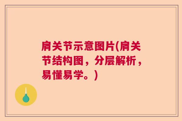 肩关节示意图片(肩关节结构图，分层解析，易懂易学。)