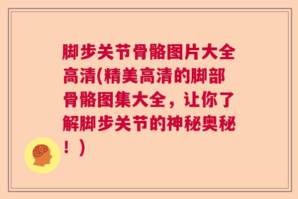 脚步关节骨骼图片大全高清(精美高清的脚部骨骼图集大全，让你了解脚步关节的神秘奥秘！)