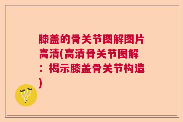 膝盖的骨关节图解图片高清(高清骨关节图解：揭示膝盖骨关节构造)