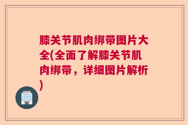 膝关节肌肉绑带图片大全(全面了解膝关节肌肉绑带,详细图片解析) 膝关节肌肉绑带图片大全(全面了解膝关节肌肉绑带,详细图片解析)