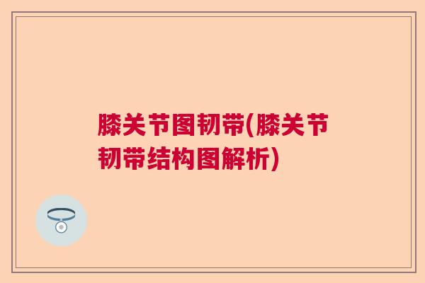 膝关节图韧带(膝关节韧带结构图解析)