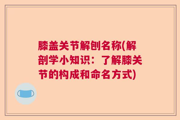 膝盖关节解刨名称(解剖学小知识:了解膝关节的构成和命名方式) 膝盖关节解刨名称(解剖学小知识:了解膝关节的构成和命名方式)