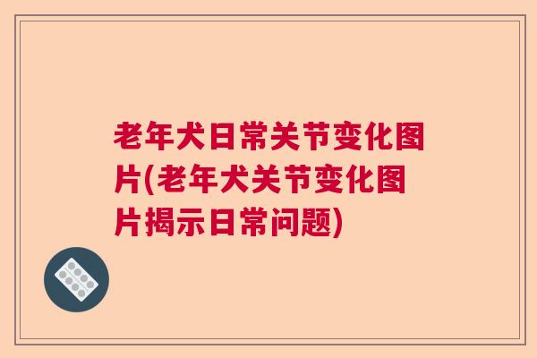 老年犬日常关节变化图片(老年犬关节变化图片揭示日常问题)