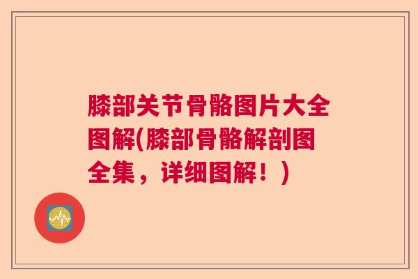 膝部关节骨骼图片大全图解(膝部骨骼解剖图全集，详细图解！)