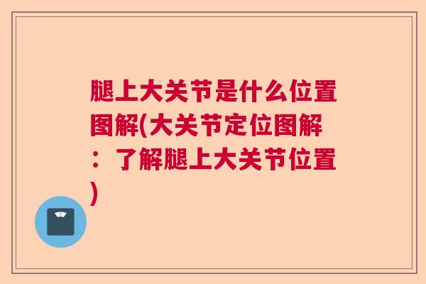 腿上大关节是什么位置图解(大关节定位图解：了解腿上大关节位置)