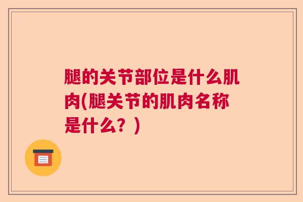 腿的关节部位是什么肌肉(腿关节的肌肉名称是什么？)