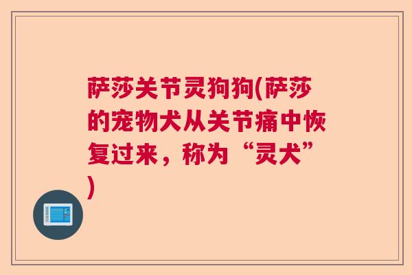 萨莎关节灵狗狗(萨莎的宠物犬从关节痛中恢复过来,称为“灵犬”) 萨莎关节灵狗狗(萨莎的宠物犬从关节痛中恢复过来,称为“灵犬”)