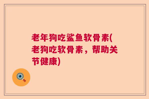 老年狗吃鲨鱼软骨素(老狗吃软骨素，帮助关节健康)