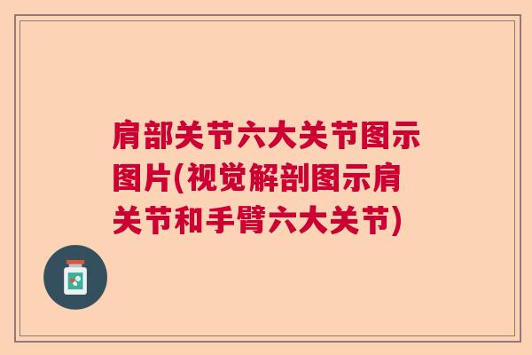 肩部关节六大关节图示图片(视觉解剖图示肩关节和手臂六大关节)