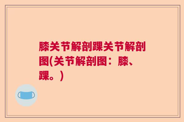 膝关节解剖踝关节解剖图(关节解剖图：膝、踝。)