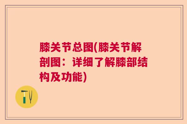 膝关节总图(膝关节解剖图：详细了解膝部结构及功能)