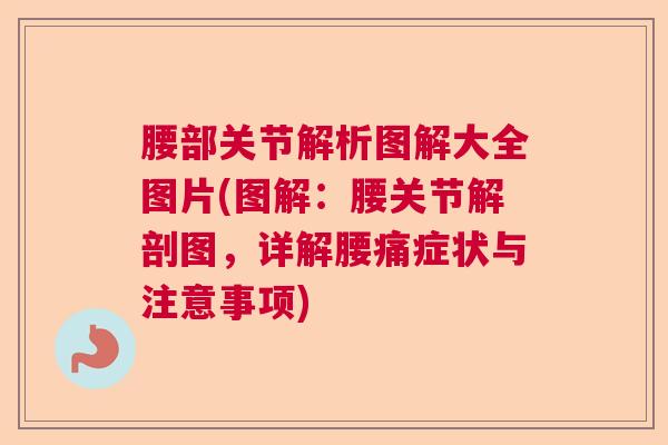 腰部关节解析图解大全图片(图解：腰关节解剖图，详解腰痛症状与注意事项)