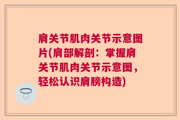 肩关节肌肉关节示意图片(肩部解剖：掌握肩关节肌肉关节示意图，轻松认识肩膀构造)