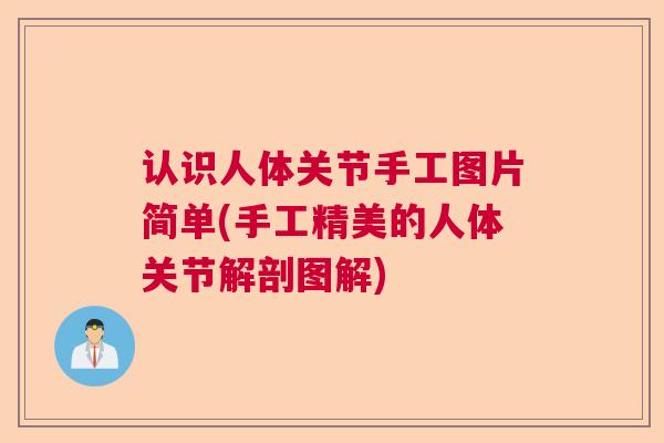 认识人体关节手工图片简单(手工精美的人体关节解剖图解)