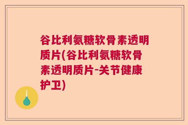 谷比利氨糖软骨素透明质片(谷比利氨糖软骨素透明质片-关节健康护卫)