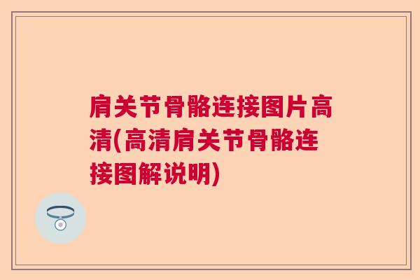 肩关节骨骼连接图片高清(高清肩关节骨骼连接图解说明)