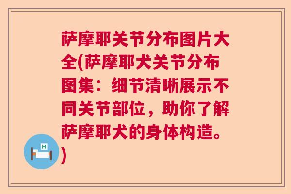 萨摩耶关节分布图片大全(萨摩耶犬关节分布图集：细节清晰展示不同关节部位，助你了解萨摩耶犬的身体构造。)