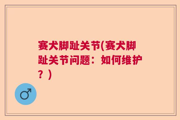 赛犬脚趾关节(赛犬脚趾关节问题：如何维护？)