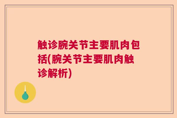触诊腕关节主要肌肉包括(腕关节主要肌肉触诊解析)