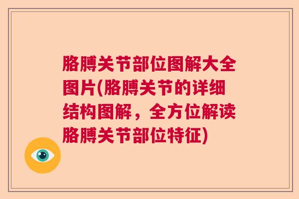 胳膊关节部位图解大全图片(胳膊关节的详细结构图解，全方位解读胳膊关节部位特征)