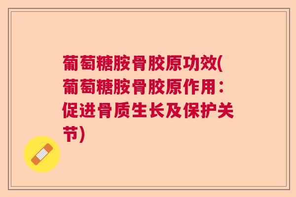 葡萄糖胺骨胶原功效(葡萄糖胺骨胶原作用：促进骨质生长及保护关节)