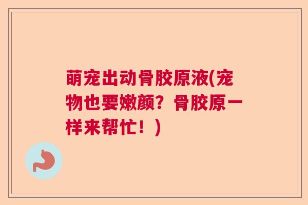 萌宠出动骨胶原液(宠物也要嫩颜？骨胶原一样来帮忙！)