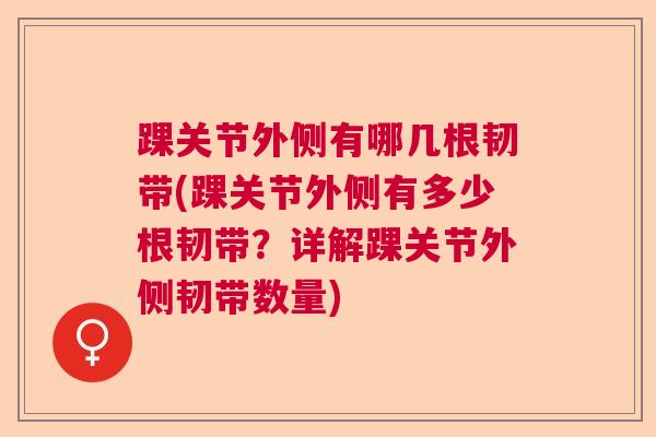 踝关节外侧有哪几根韧带(踝关节外侧有多少根韧带？详解踝关节外侧韧带数量)
