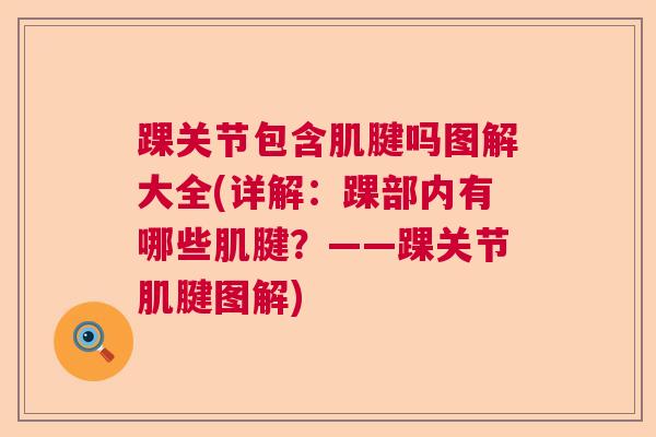 踝关节包含肌腱吗图解大全(详解：踝部内有哪些肌腱？——踝关节肌腱图解)